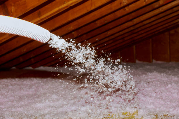 Best Insulation Contractor Near Me  in Heath, TX