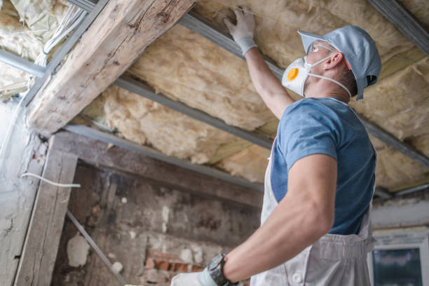 Best Affordable Insulation Services  in Heath, TX