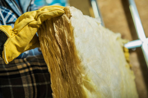 Best Garage Insulation Installation  in Heath, TX